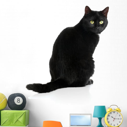 Black Cat Wall Decal