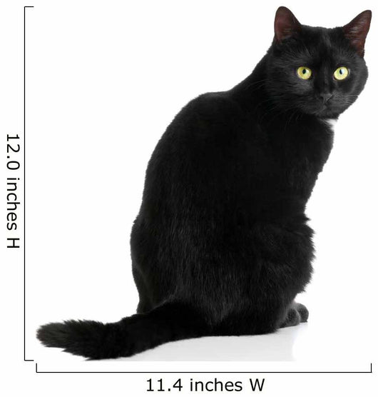 Black Cat Wall Decal
