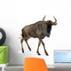 Blue Wildebeest - Connochaetes Taurinus Wall Decal