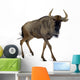 Blue Wildebeest - Connochaetes Taurinus Wall Decal