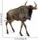 Blue Wildebeest - Connochaetes Taurinus Wall Decal