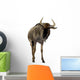 Blue Wildebeest Connochaetes Taurinus Wall Decal