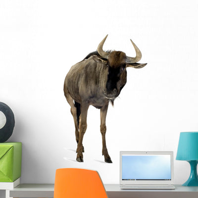 Blue Wildebeest Connochaetes Taurinus Wall Decal shown on a wall