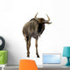 Blue Wildebeest Connochaetes Taurinus Wall Decal
