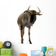 Blue Wildebeest Connochaetes Taurinus Wall Decal