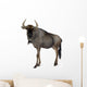 Blue Wildebeest Connochaetes Taurinus Wall Decal