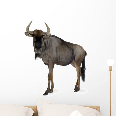 Blue Wildebeest Connochaetes Taurinus Wall Decal shown on a wall