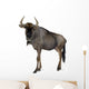 Blue Wildebeest Connochaetes Taurinus Wall Decal