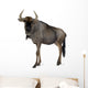 Blue Wildebeest Connochaetes Taurinus Wall Decal