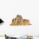 Lion Cub and Tiger Cub Wall Decal