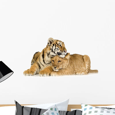 Loving Lion and Tiger Wall Decal shown on a wall