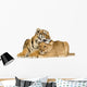 Lion Cub and Tiger Cub Wall Decal