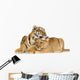 Lion Cub and Tiger Cub Wall Decal