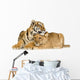 Lion Cub and Tiger Cub Wall Decal