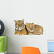 Lion Cub and Tiger Cub Wall Decal