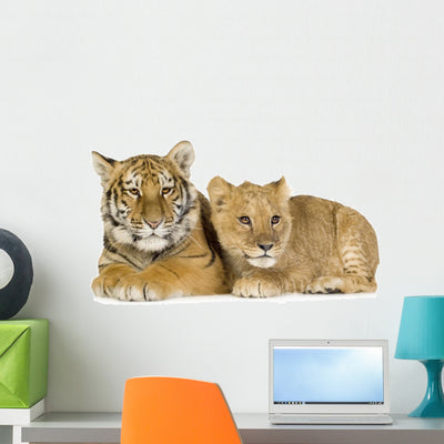 Baby Tiger and Lion Wall Decal shown on a wall