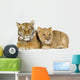 Lion Cub and Tiger Cub Wall Decal