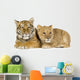 Lion Cub and Tiger Cub Wall Decal