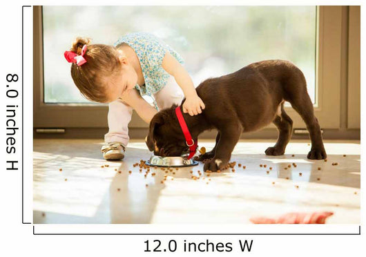 Cute little girl feeding her puppy 