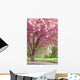 Pink Flowering Cherry Trees Wall Mural