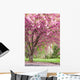 Pink Flowering Cherry Trees Wall Mural