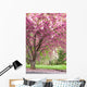 Pink Flowering Cherry Trees Wall Mural