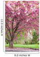 Pink Flowering Cherry Trees Wall Mural