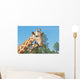 A Mother and Baby Giraffe Together Wall Mural