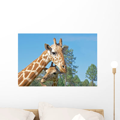 Mother and Baby Giraffe Wall Mural shown on a wall