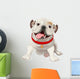English bulldog Wall Decal