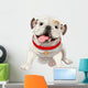 English bulldog Wall Decal