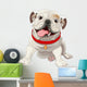 English bulldog Wall Decal