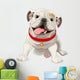 English bulldog Wall Decal