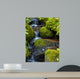 Mountain stream among the mossy stones 