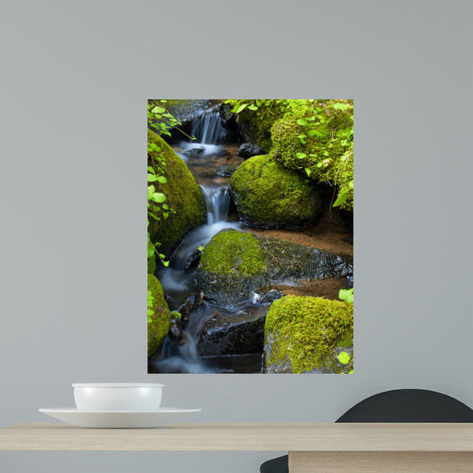 Mountain stream among the mossy stones 