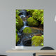 Mountain stream among the mossy stones 