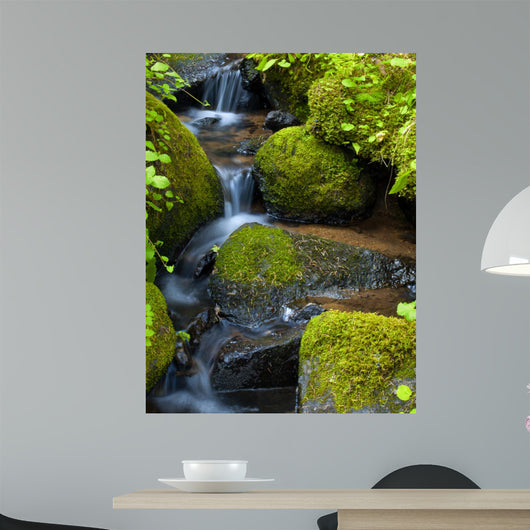 Mountain stream among the mossy stones 