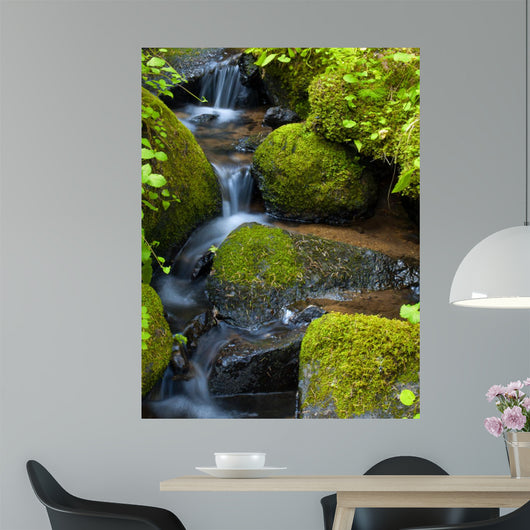 Mountain stream among the mossy stones 