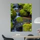 Mountain stream among the mossy stones 