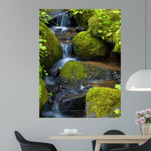 Mountain stream among the mossy stones 