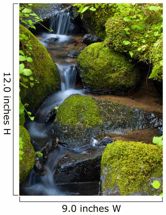 Mountain stream among the mossy stones 