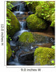 Mountain stream among the mossy stones 