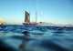 Yacht Wall Decal
