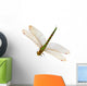 Dragonfly Wall Decal