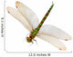 Dragonfly Wall Decal