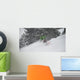 snow Wall Mural