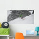 snow Wall Mural