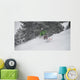 snow Wall Mural
