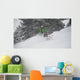 snow Wall Mural