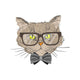 Portrait of hipster cat Wall Decal